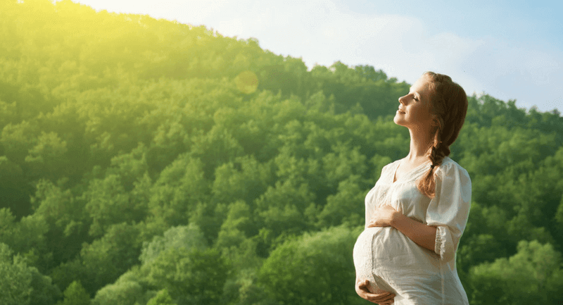 hamilelikte ilk hafta ve ilk ay