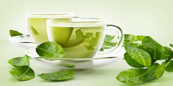 yeşil çay yağ yakımı