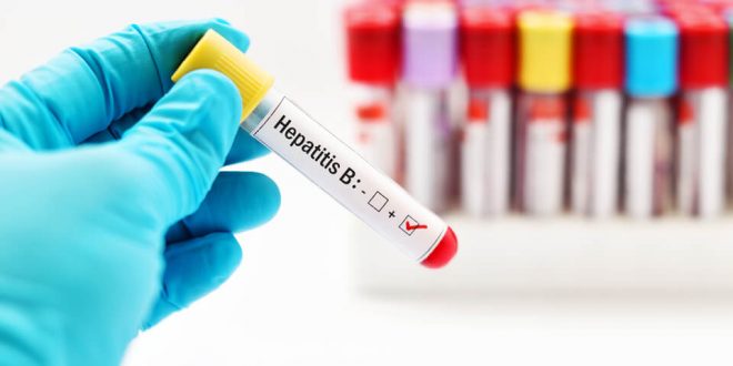 hepatit b antikor testi nedir