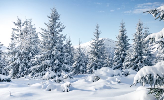 Rüyada Kar Görmek Anlamı Nedir? | Cintakvimi.Net