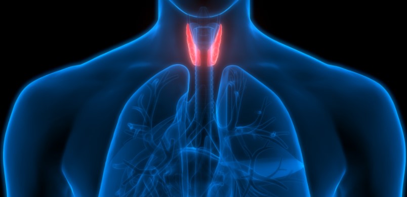 tiroid bozukluğu