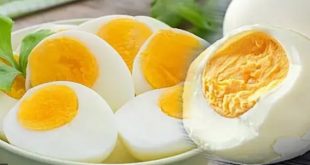 yumurta orucu nasıl yapılır