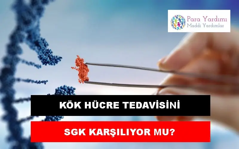 SGK Kök Hücre Tedavisini Karşılıyor mu? PRP Ücretleri