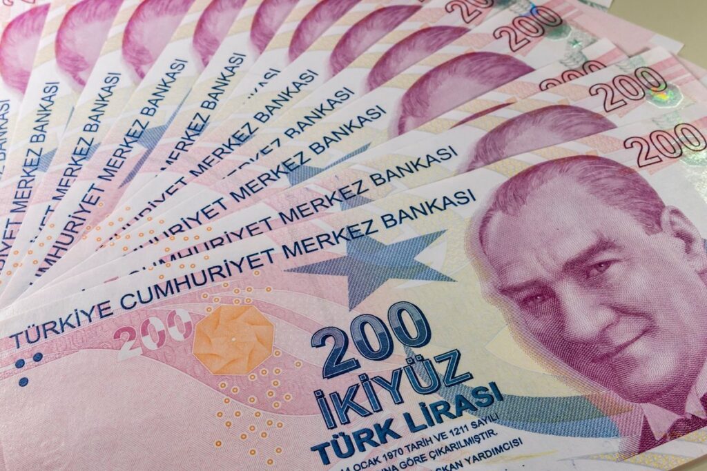 Popüler Hibe ve Destekler Neler?
