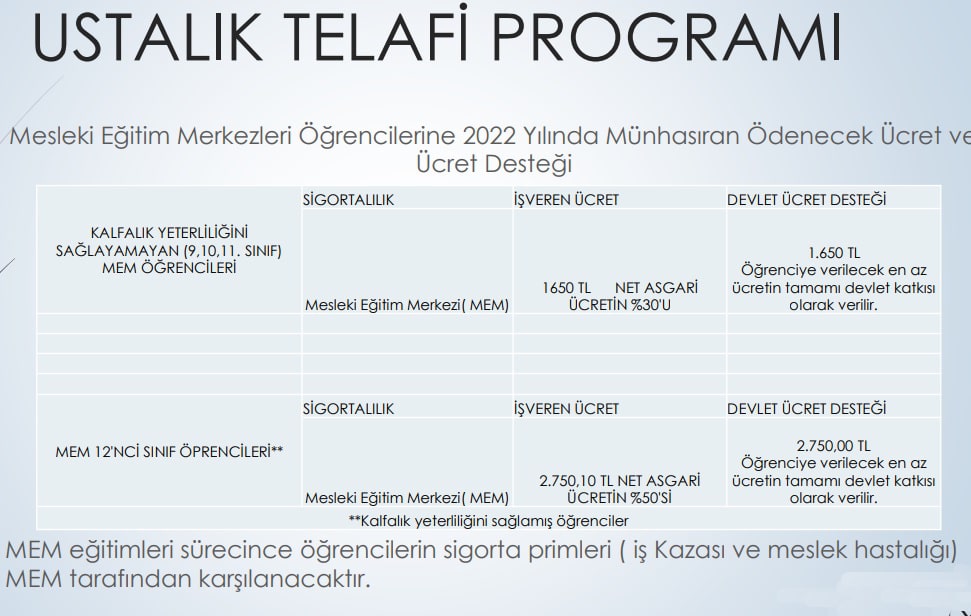 Ustalık Telafi Programı