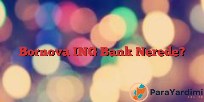 Bornova ING Bank Nerede?