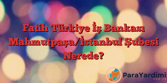 Fatih Türkiye İş Bankası Mahmutpaşa/İstanbul Şubesi Nerede?