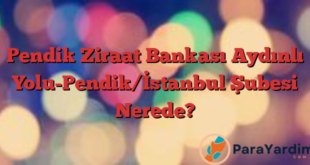Pendik Ziraat Bankası Aydınlı Yolu-Pendik/İstanbul Şubesi Nerede?