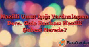 Nazilli Umut Işığı Yardımlaşma Dern. Gıda Bankası Nazilli Şubesi Nerede?