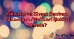 Yüksekova Ziraat Bankası Yüksekova/Hakkari Şubesi Nerede?